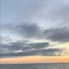 jm_2021